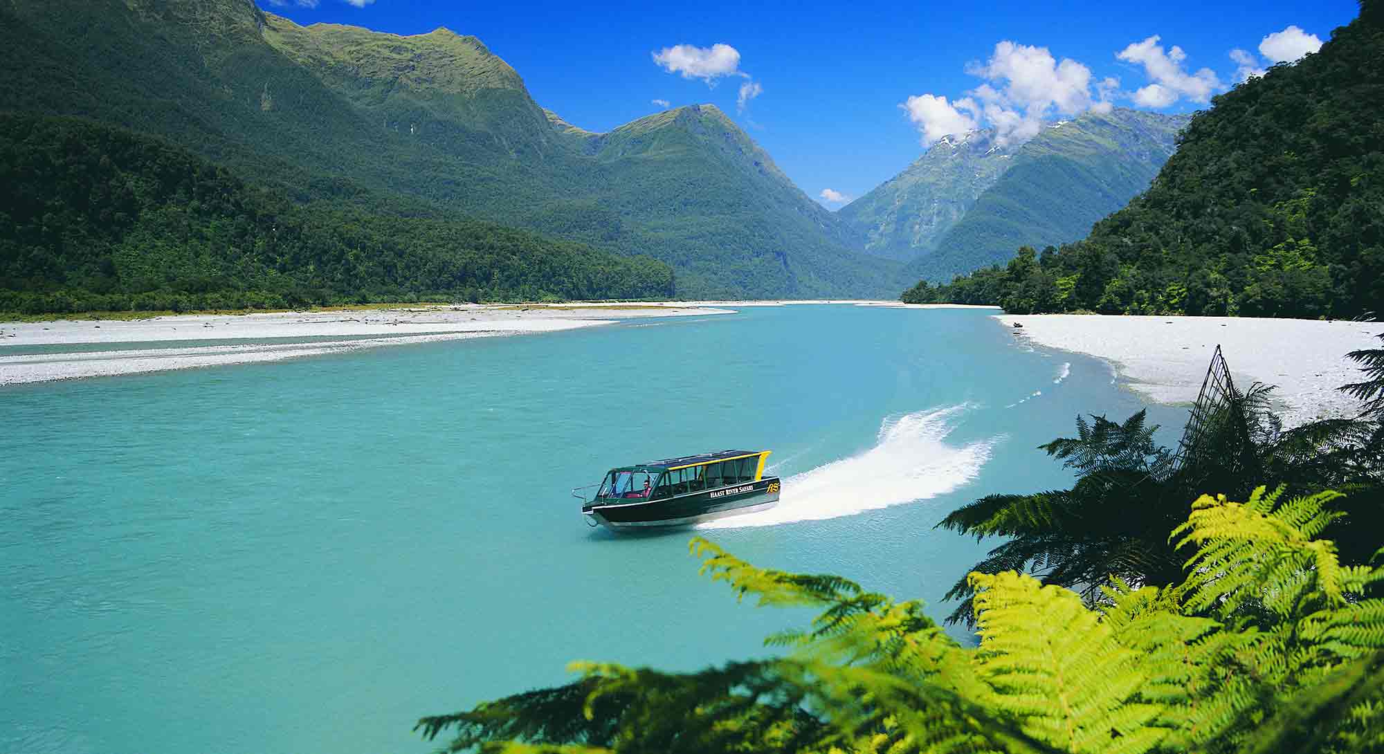 Haast River Safari jet boat tour